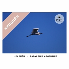 Neuquén - Biodiversidad