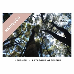 Neuquén - Biodiversidad