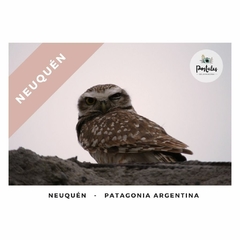 Neuquén - Biodiversidad