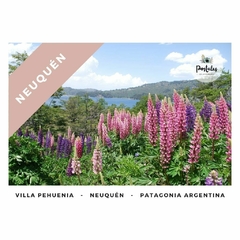 Villa Pehuenia, Neuquén - Paisajes