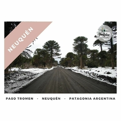 Paso Tromen, Neuquén - Paisajes