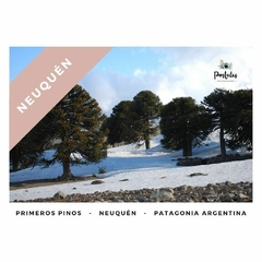 Primeros Pinos, Neuquén - Paisajes