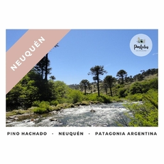 Pino Hachado, Neuquén - Paisajes