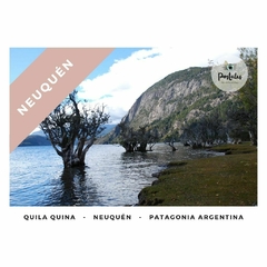 Quila Quina, Neuquén - Paisajes