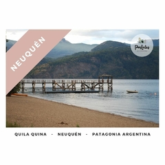 Quila Quina, Neuquén - Paisajes