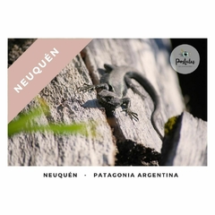 Neuquén - Biodiversidad