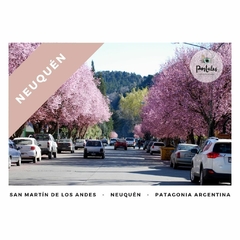 San Martín de los Andes, Neuquén - Paisajes urbanos