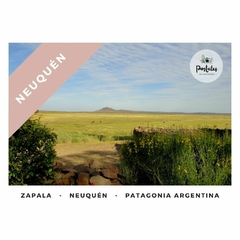 Zapala,, Neuquén - Paisajes