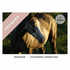 Neuquén - Biodiversidad