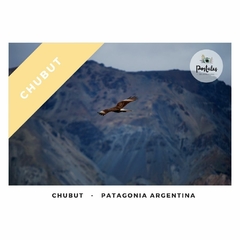 Chubut - Biodiversidad