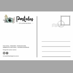 Siete Lagos, Neuquén - Paisajes - comprar online