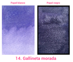 14. Gallineta morada (metálica) - comprar en línea