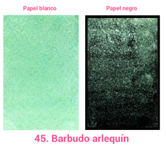 45. Barbudo arlequín (metálica) - comprar en línea