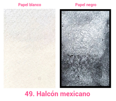 49. Halcón mexicano (metálica) - comprar en línea