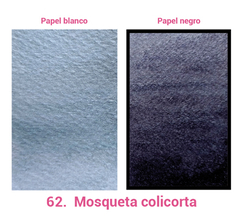 62. Mosqueta colicorta (metálica) - comprar en línea