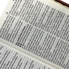 Biblia letra gigante en internet