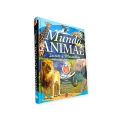 Mundo Animal 3D