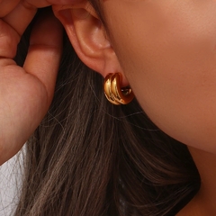 Imagen de Aretes Bari