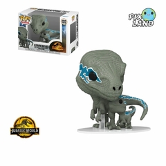 PREVENTA Funko Pop Velociraptors (Blue & Beta) 1212 Jurassic World Dominion