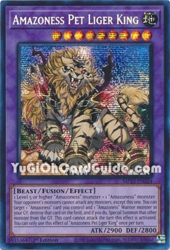 25TH ANNIVERSARY TIN: AMAZONESS PET LIGER KING