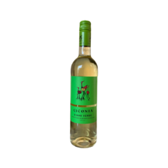 Vinho Português Ciconia Vinho Verde Branco