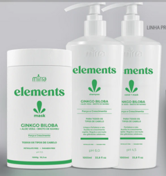 Elements Ginkgo Biloba Pro - loja online