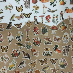 Imagen de STICKERS NATURALEZA 200 PZS 80 HOJAS DECORATIVAS, 120 STICKERS 15cmx11cm