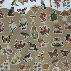 STICKERS NATURALEZA 200 PZS 80 HOJAS DECORATIVAS, 120 STICKERS 15cmx11cm - tienda en línea