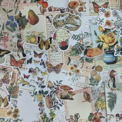 STICKERS NATURALEZA 200 PZS 80 HOJAS DECORATIVAS, 120 STICKERS 15cmx11cm - Maco Creativos