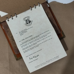 Imagen de KIT CAJA SORPRESA WIZARDING WORLD CAJA DE REGALOS HARRY POTTER MAGIC AT PLAY CASAS DE HOGWARTS SLYTHERIN