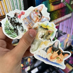 STICKERS VARIOS GATITOS TY STICKER 5O PZS STICKERS