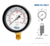 MANÔMETRO DIÂMETRO 160MM - SÉRIE VS e VSG 160 na internet