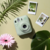 Câmera Instax Mini 11 Fujifilm - Verde Pastel - loja online