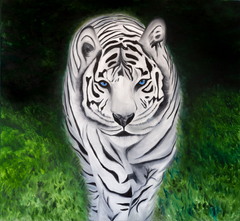 Tigre Branco, quadro.