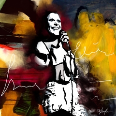 Quadro Decorativo Elis Regina 