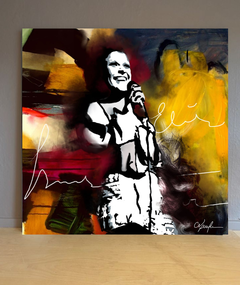 Quadro Decorativo Elis Regina 