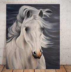 cavalos, quadro de cavalos, cavalo branco.