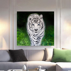 Tigre Branco, quadro.