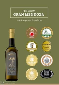 GRAN MENDOZA 500ML - comprar online