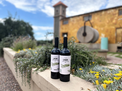 Vino Orgánico MALBEC Tres Hectáreas - comprar online