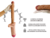 241 Mega Dildo Realista Extra Largo 32 Cm Lungo - tienda en línea