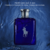 Polo Ralph Lauren Blue EDP Masculino - comprar online