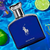 Imagem do Polo Ralph Lauren Blue EDP Masculino