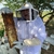 Coreano de corea en el apiario