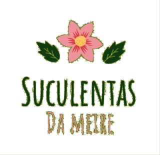 Suculentas da Meire