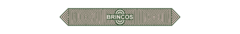 Banner da categoria Brincos
