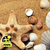 Sea ​Shells - comprar en línea