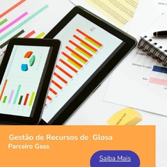 GESS - GESTÃO DE GLOSAS E RECURSOS