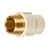 CONECTOR CPVC AMANCO TRANSP CPVC 22X3/4'' na internet