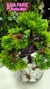 Arranjo Bonsai Verde Claro Toque Real - 40cm - comprar online